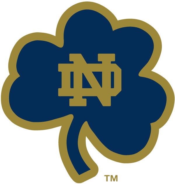 Notre Dame Fighting Irish 1994-Pres Alternate Logo v18 DIY iron on transfer (heat transfer)